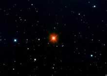 Hinds-Crimson-Star-300x213