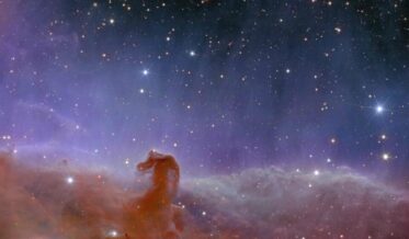 Vista de Euclid de la Nebulosa Cabeza de Caballo