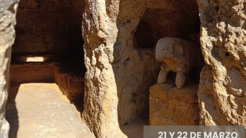 Fotografía ilustrativa del evento