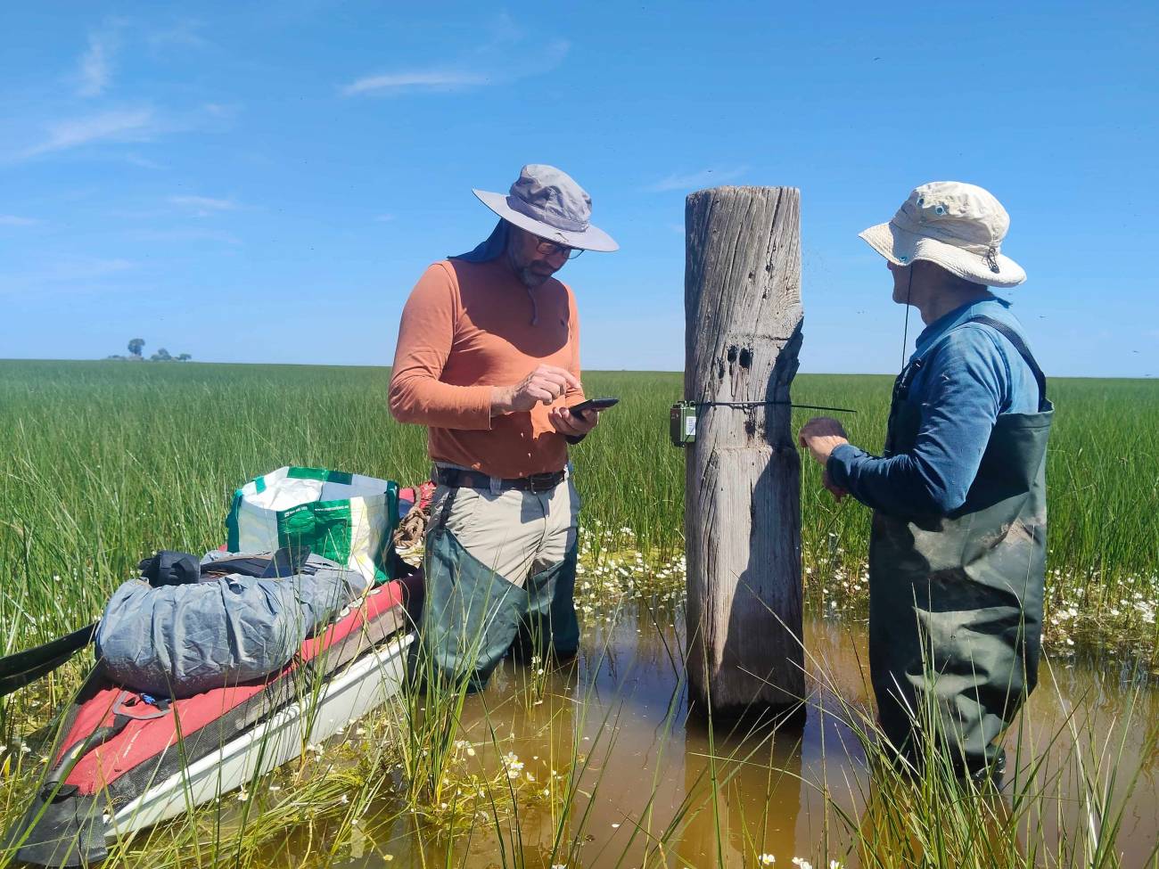 El equipo del proyecto RarAvis revisa las grabadoras automáticas de sonido instaladas en el Parque Natural de Doñana