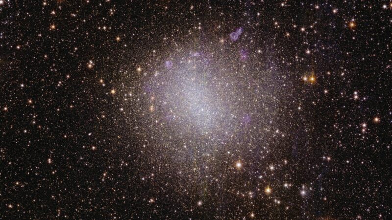 Vista de Euclid de la galaxia irregular NGC 6822