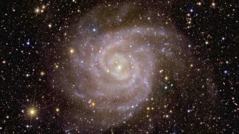 Vista de Euclid de la galaxia espiral IC 342